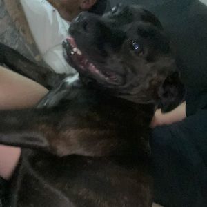 Meet your Posher, Martine